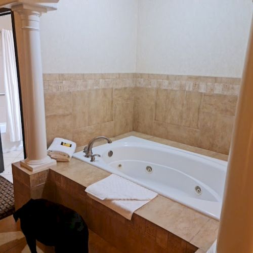 A large bathtub is surrounded by tiled walls and two columns. A towel and a scale are nearby. A dog is partially visible in the foreground.