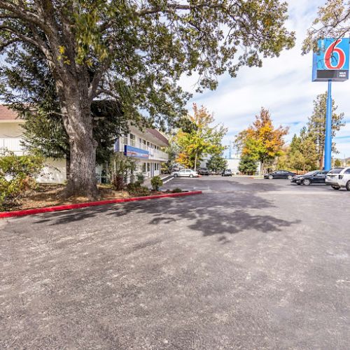 A parking lot with a large tree and a motel sign featuring the number 6. Several cars are parked nearby on a clear, sunny day.