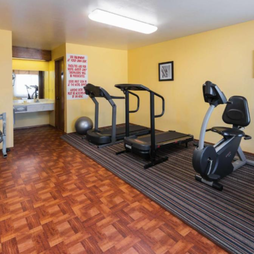 A small gym with treadmills, an exercise bike, free weights, and a yoga ball on a striped carpeted floor.