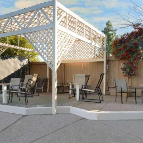 Outdoor patio with a white pergola, chairs, tables, and a barbecue grill, surrounded by greenery and a wooden fence.