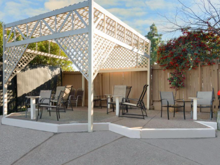 A patio with chairs and tables under a lattice pergola, bordered by a wooden fence and trees, with a red barbecue grill nearby.