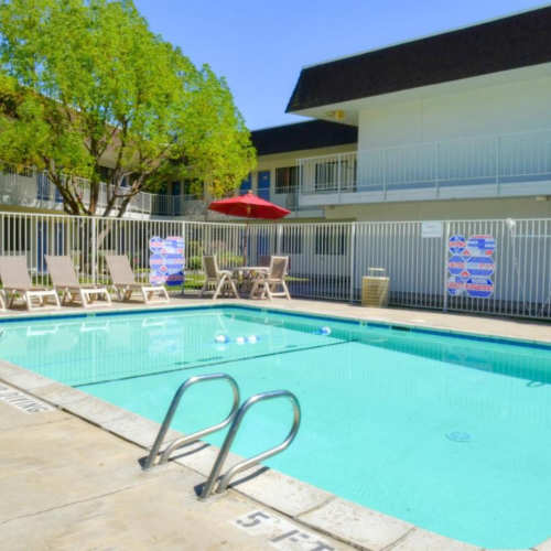 A hotel courtyard with a swimming pool, surrounded by lounge chairs, umbrellas, and a tree, with rooms visible in the background.